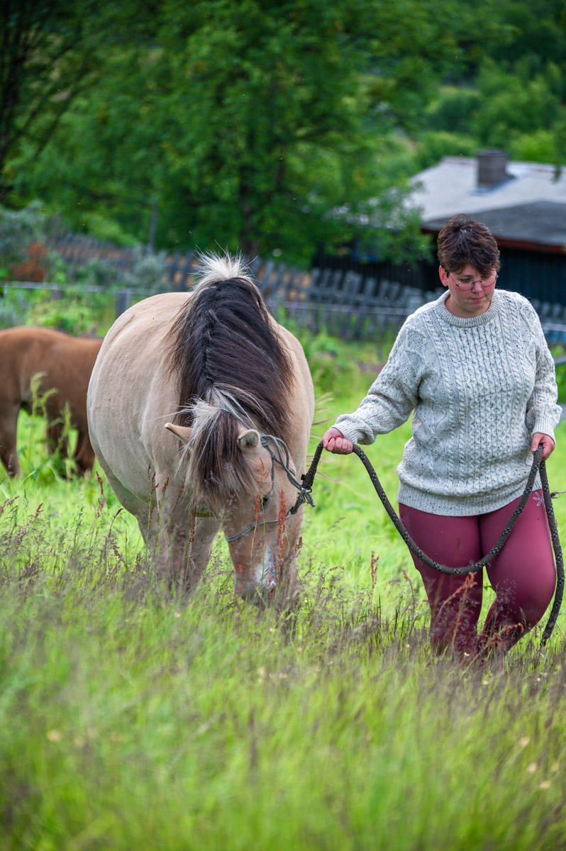 Hest leies på åker under Hest og velvære-kurs på garden Øien Øvre, Heidal