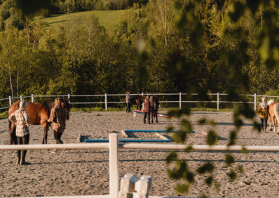 Øien Øvre-hest og velvære 4195_hester på ridebane_Foto-Marije de Baan